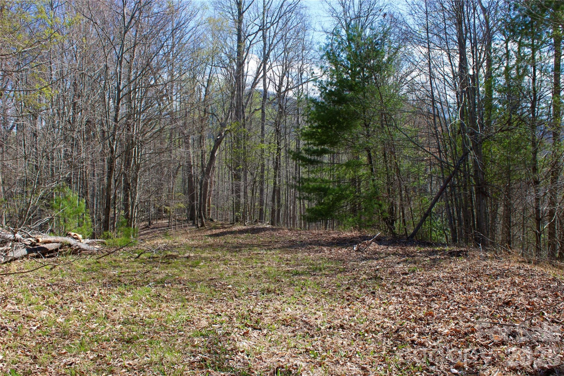 00 Scenic View Drive #1 & 2 - Photo 10