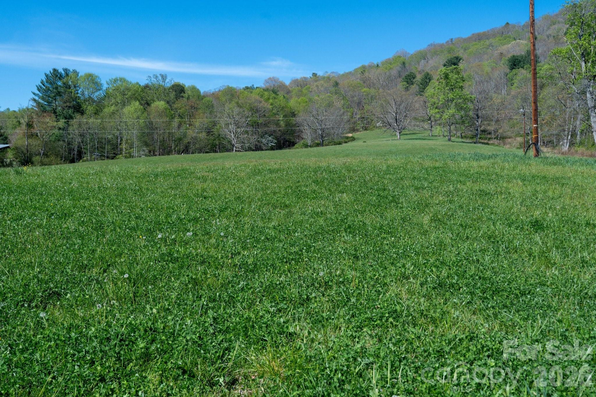 99999 Clarke Road - Photo 12