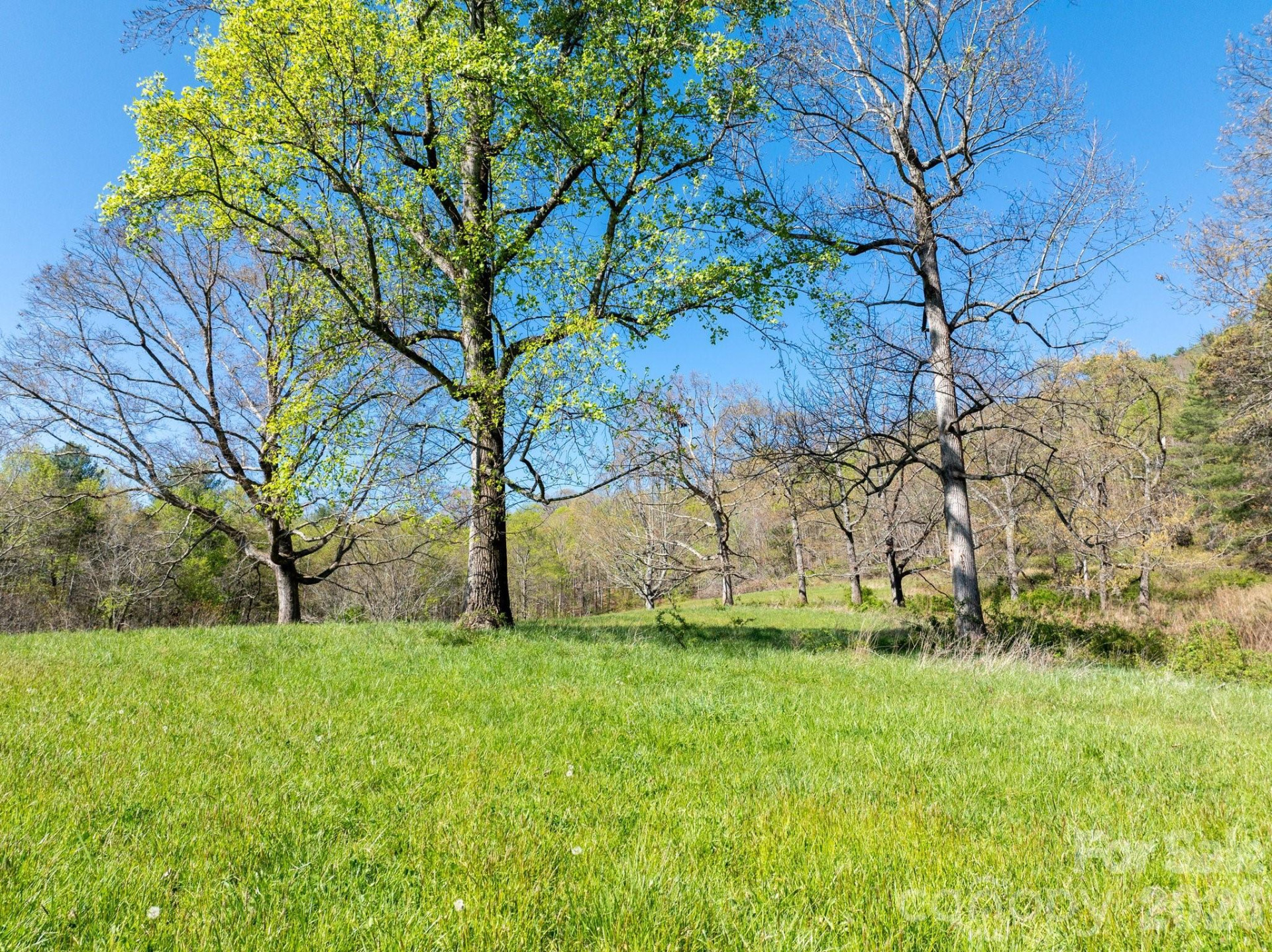 99999 Clarke Road - Photo 13