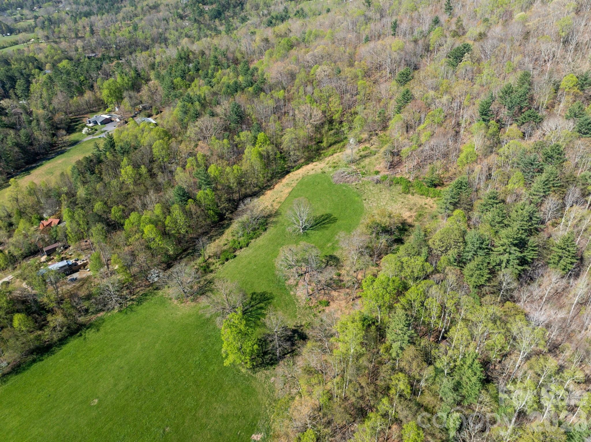 99999 Clarke Road - Photo 16