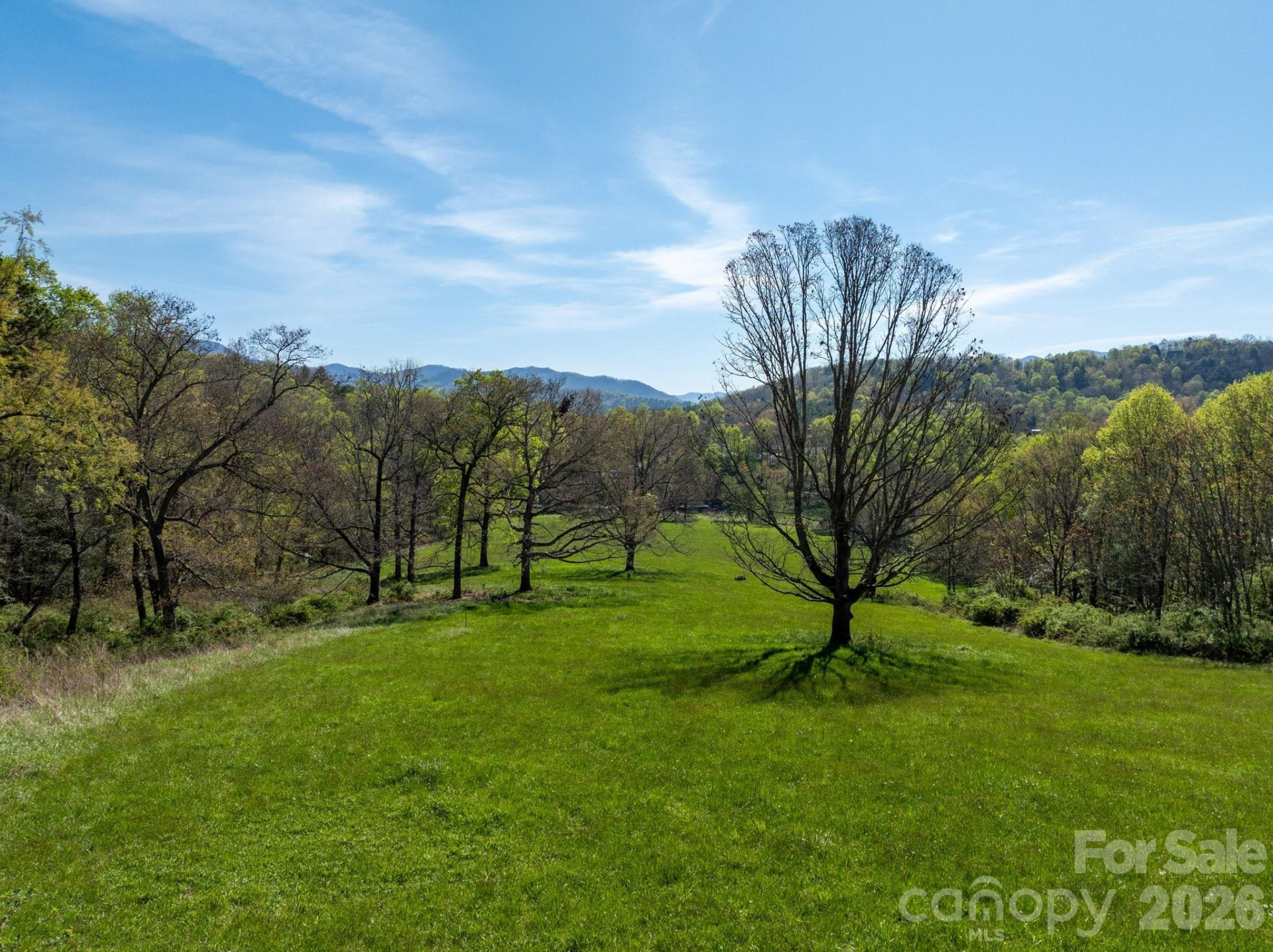 99999 Clarke Road - Photo 3