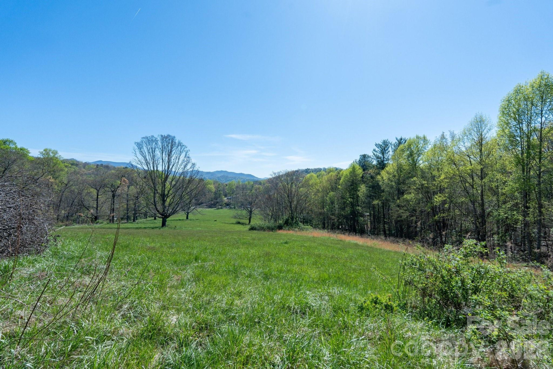 99999 Clarke Road - Photo 4