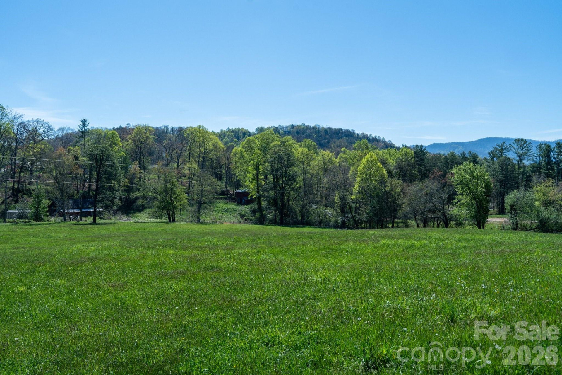 99999 Clarke Road - Photo 5