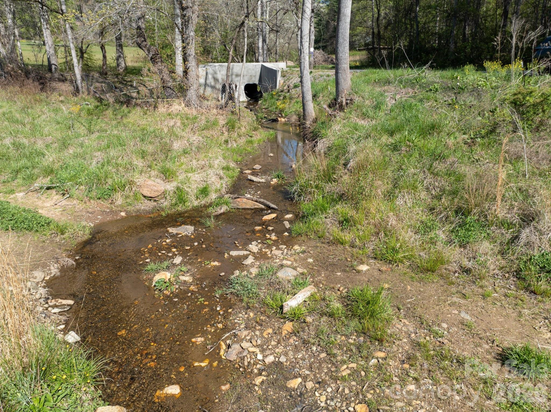 99999 Clarke Road - Photo 6