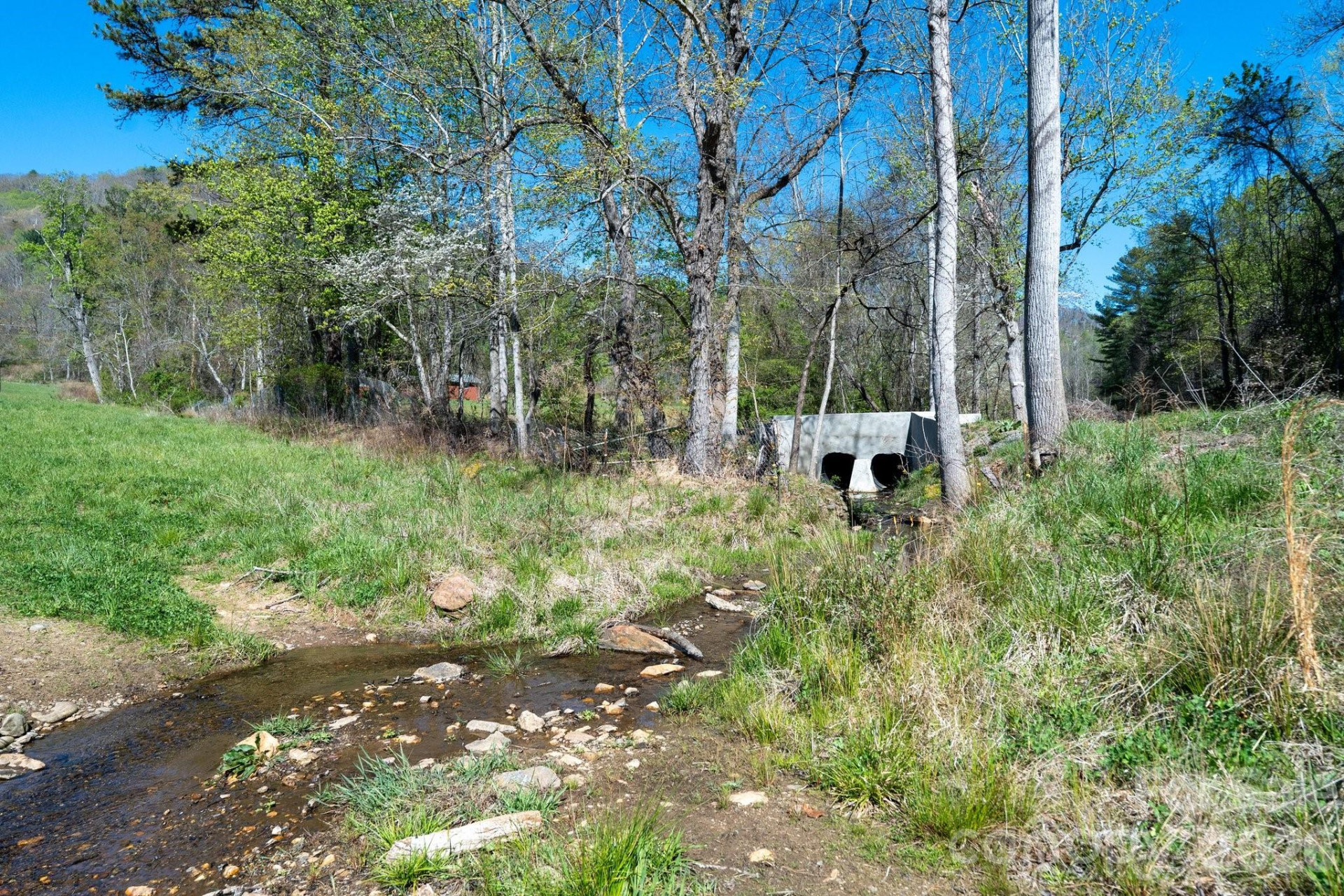 99999 Clarke Road - Photo 7