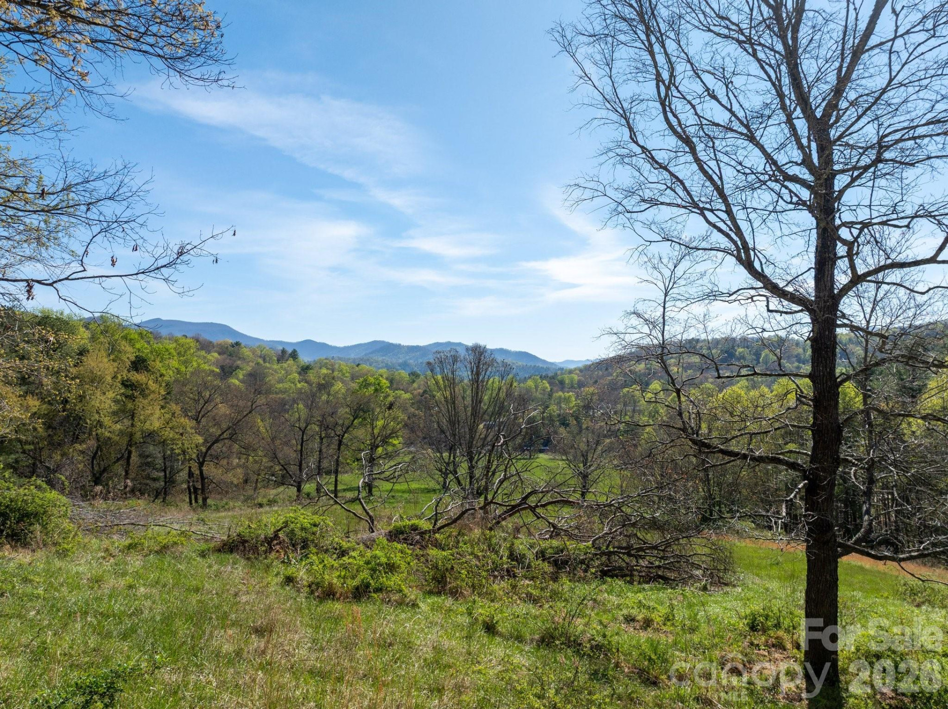 99999 Clarke Road - Photo 8