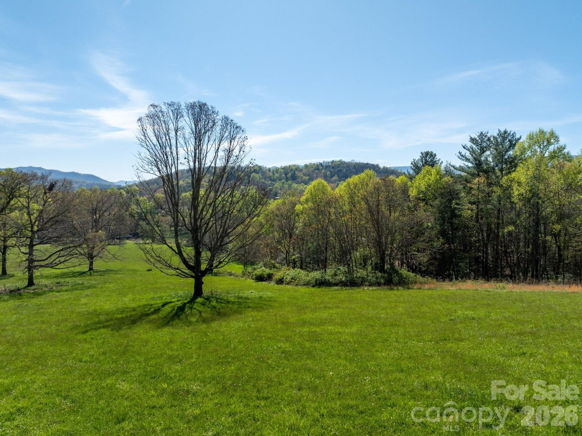 99999 Clarke Road - Photo 9