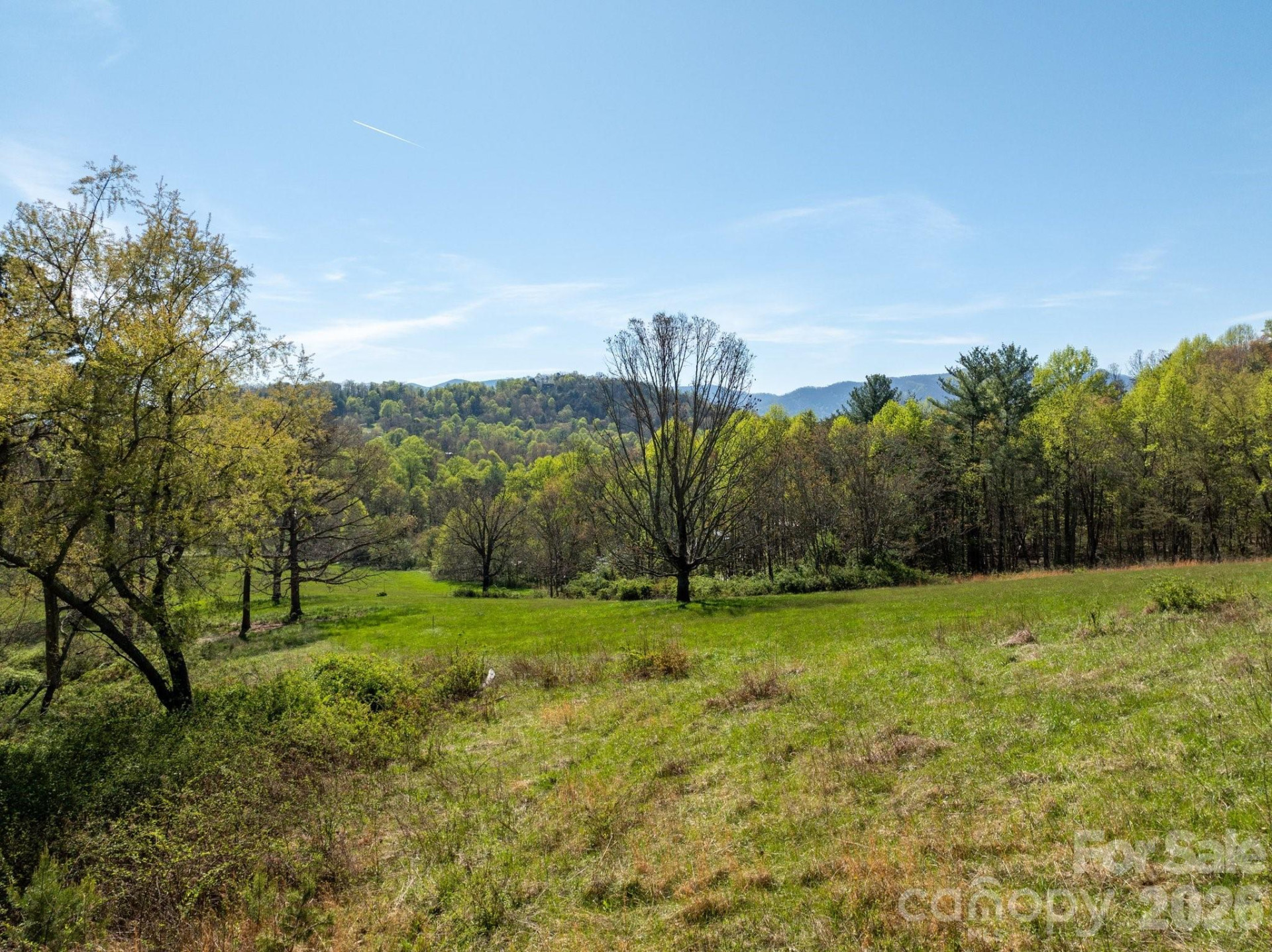 99999 Clarke Road - Photo 10