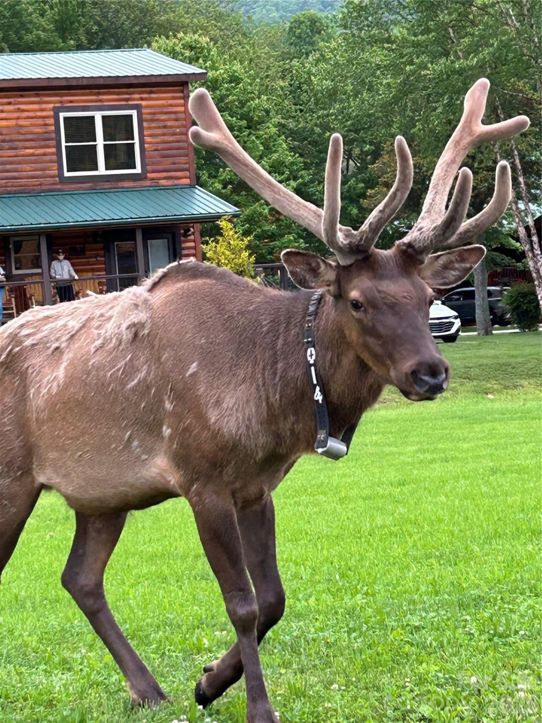 10 Onyx Lane - Photo 21