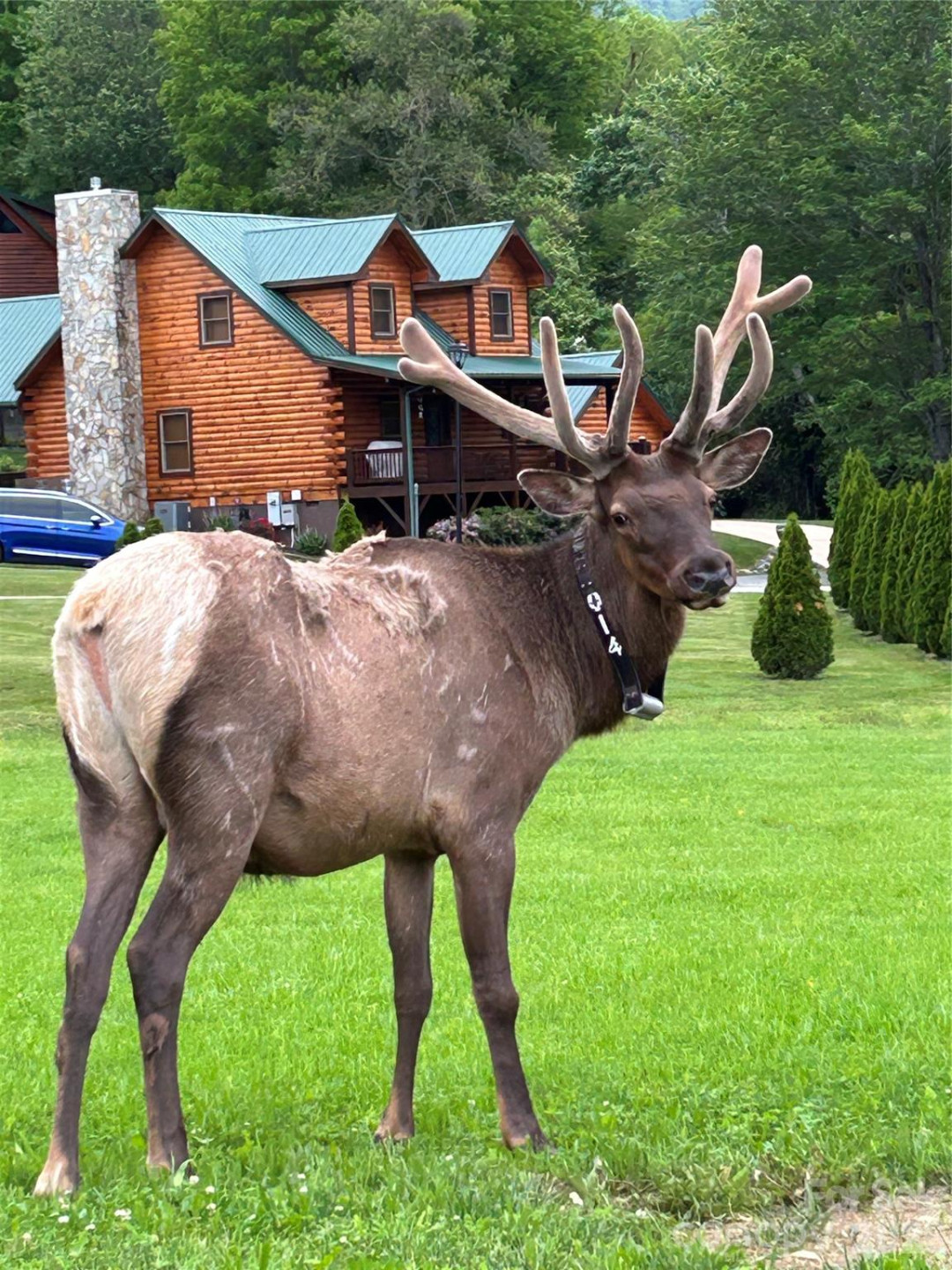 10 Onyx Lane - Photo 24