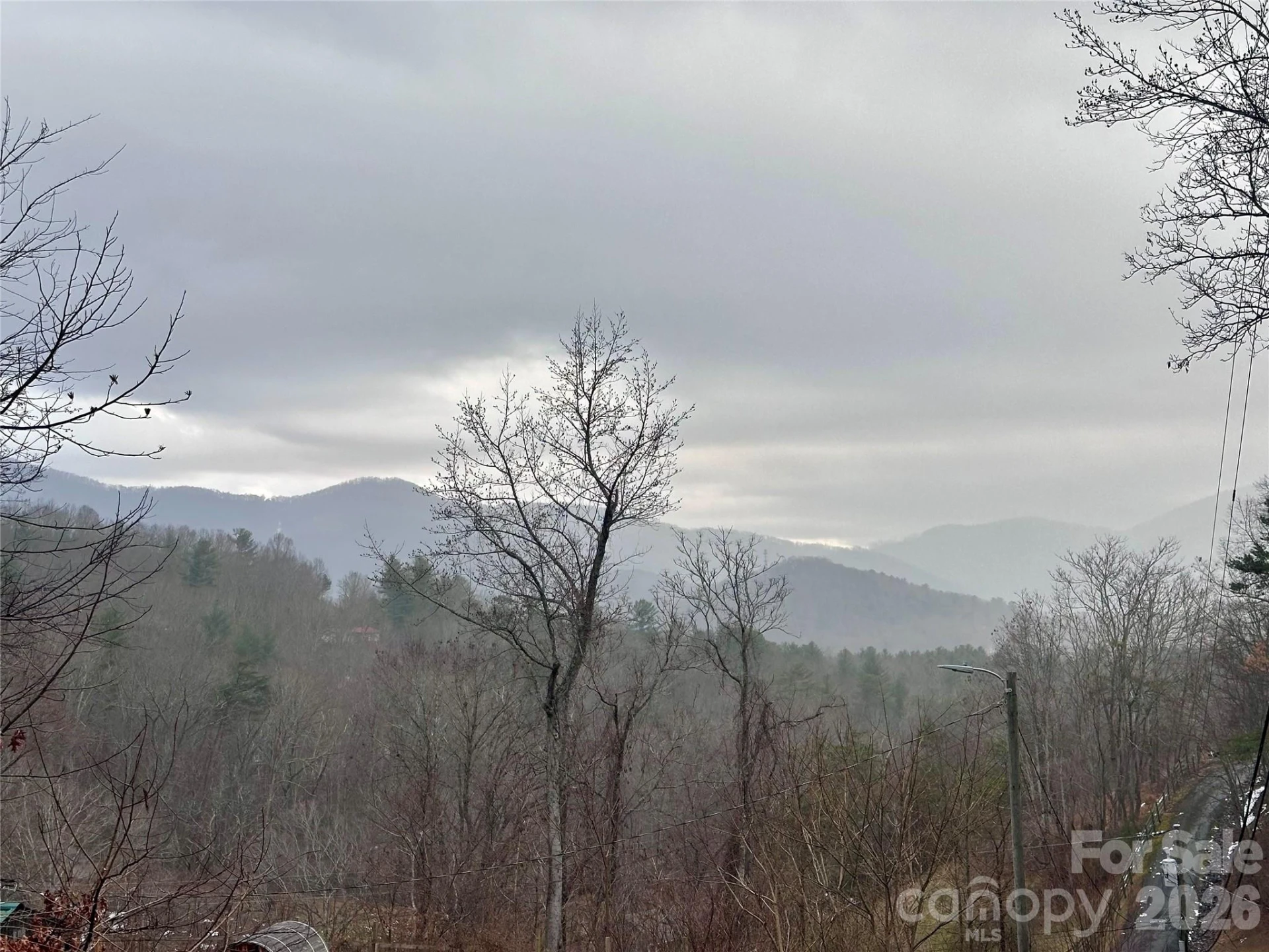 224 Riddle Road - Photo 2
