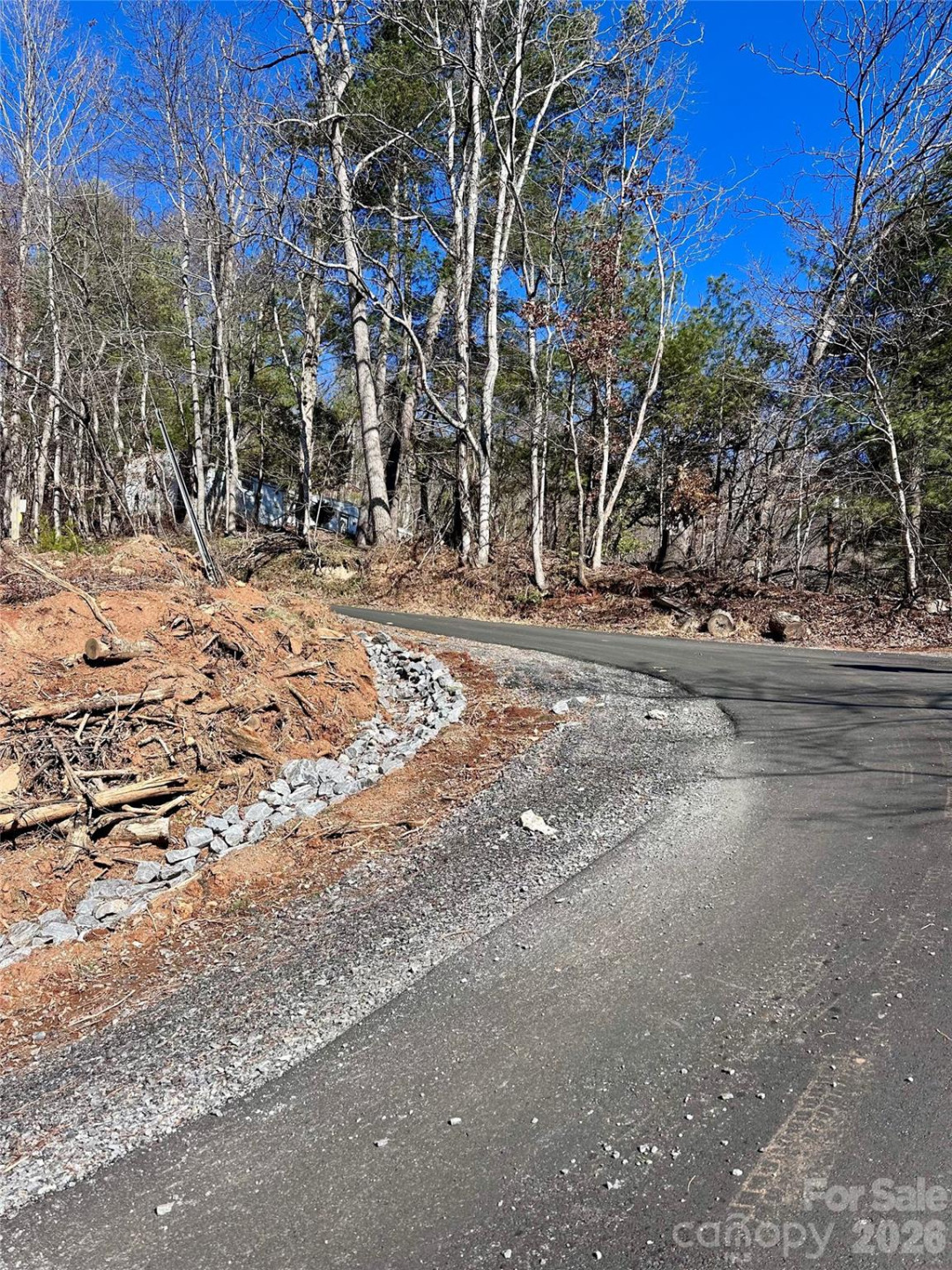 224 Riddle Road - Photo 12