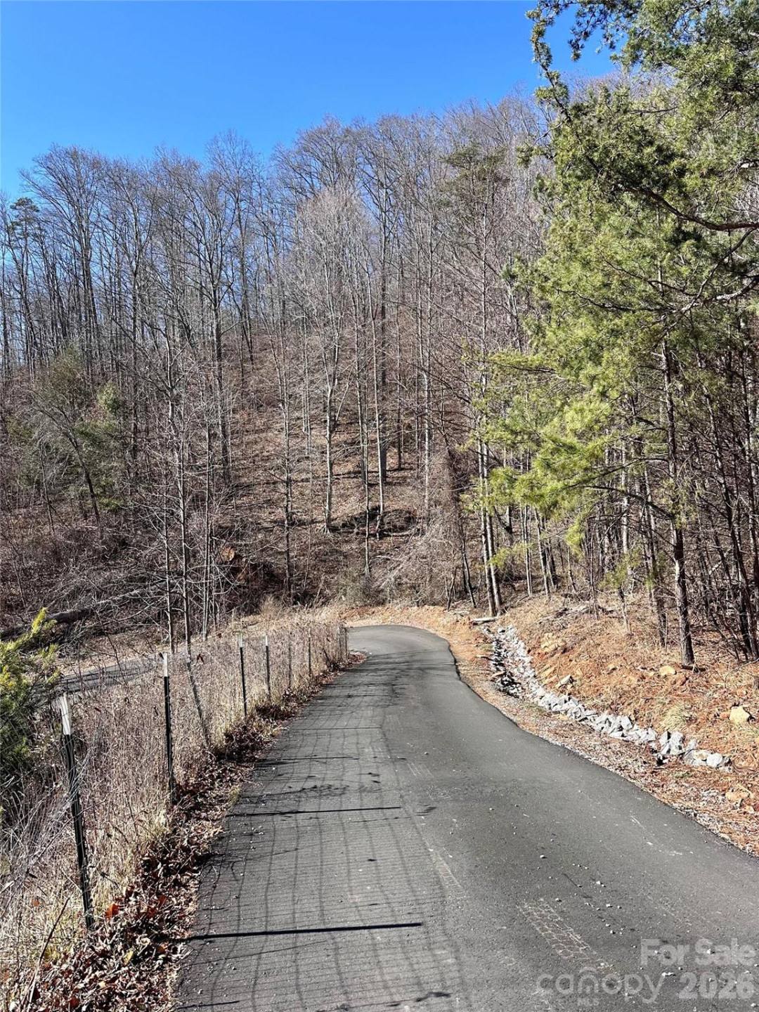 224 Riddle Road - Photo 13