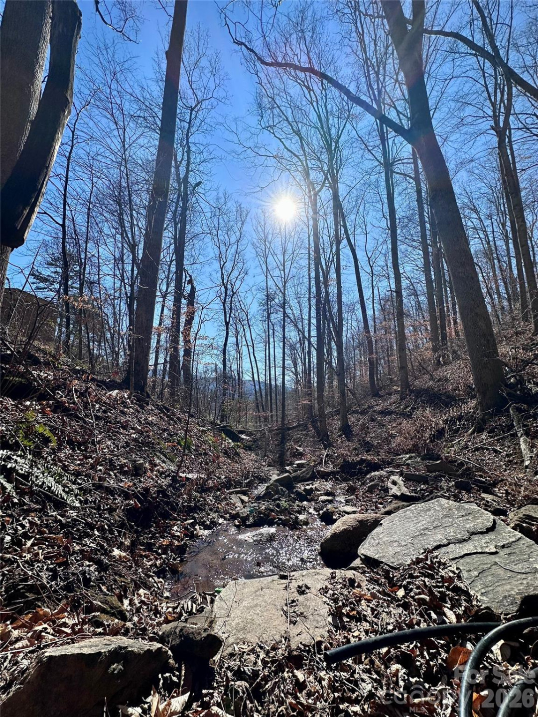 224 Riddle Road - Photo 15