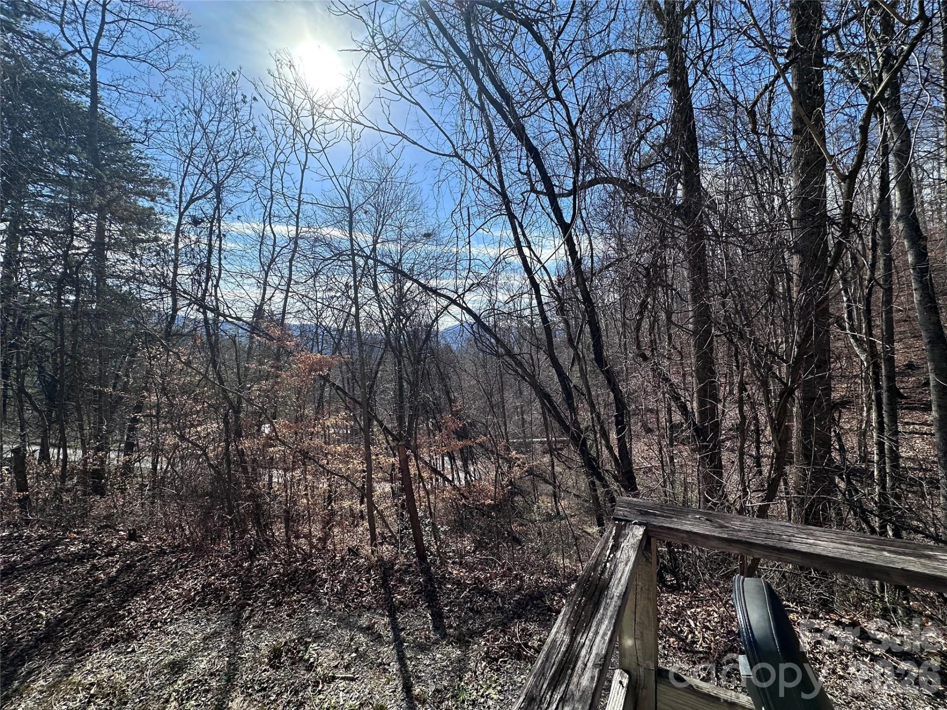 224 Riddle Road - Photo 5