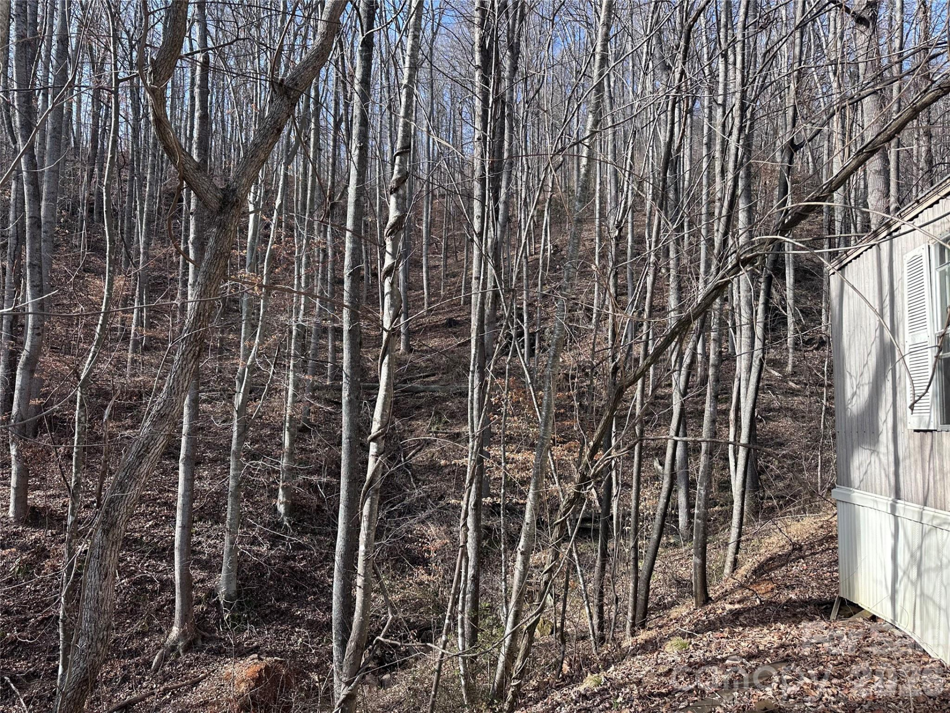 224 Riddle Road - Photo 9