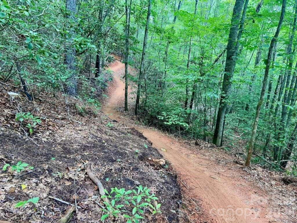 522 Old Us 70 Highway - Photo 34