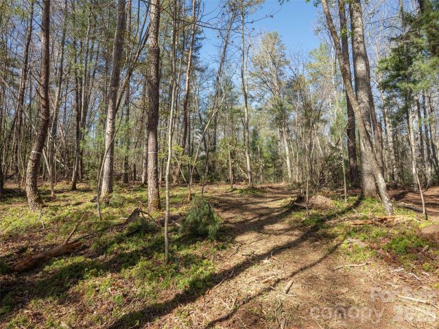 137 Nancy Ashworth Lane, Fairview, NC, 28730