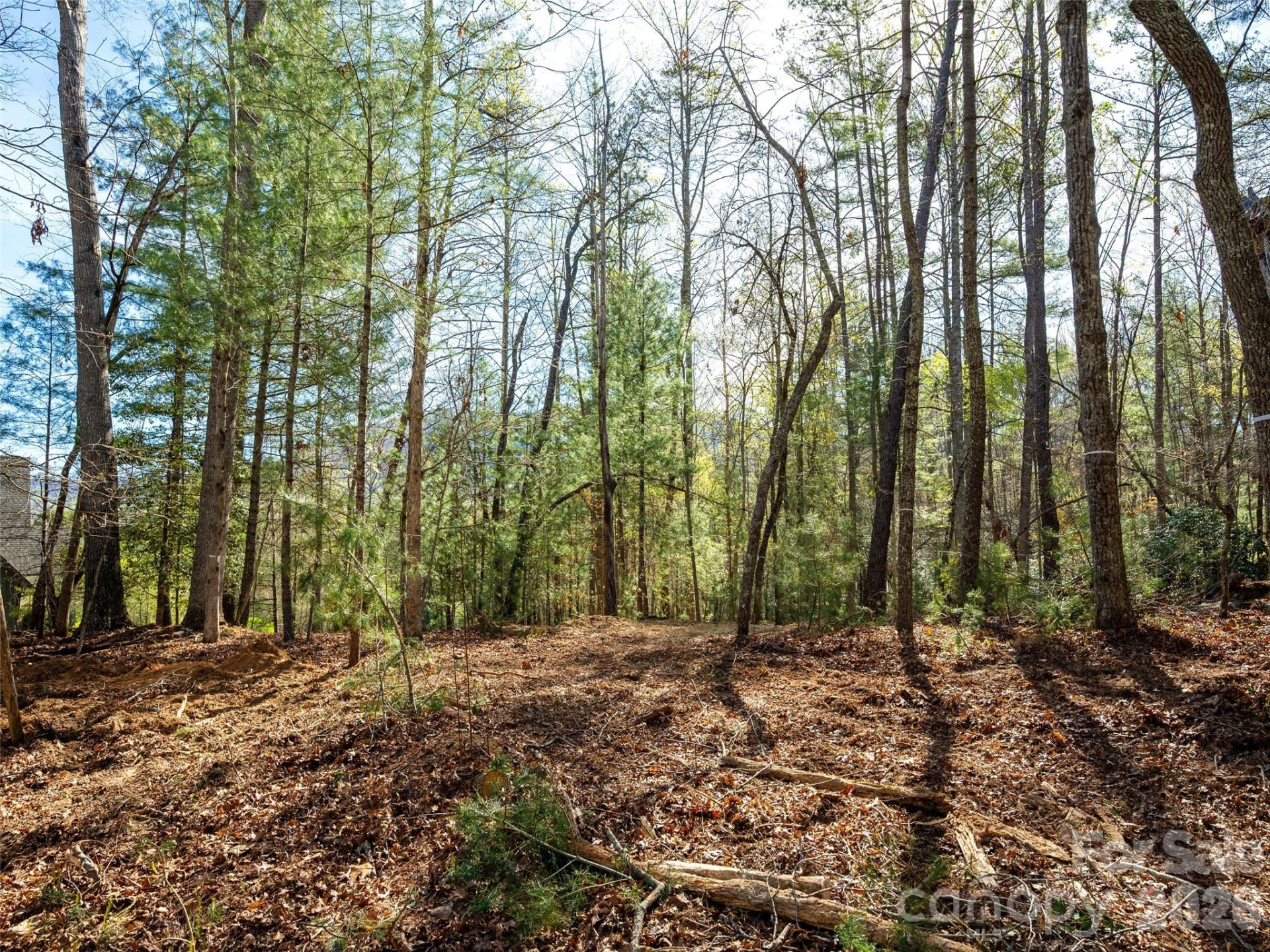 137 Nancy Ashworth Lane #13 - Photo 11