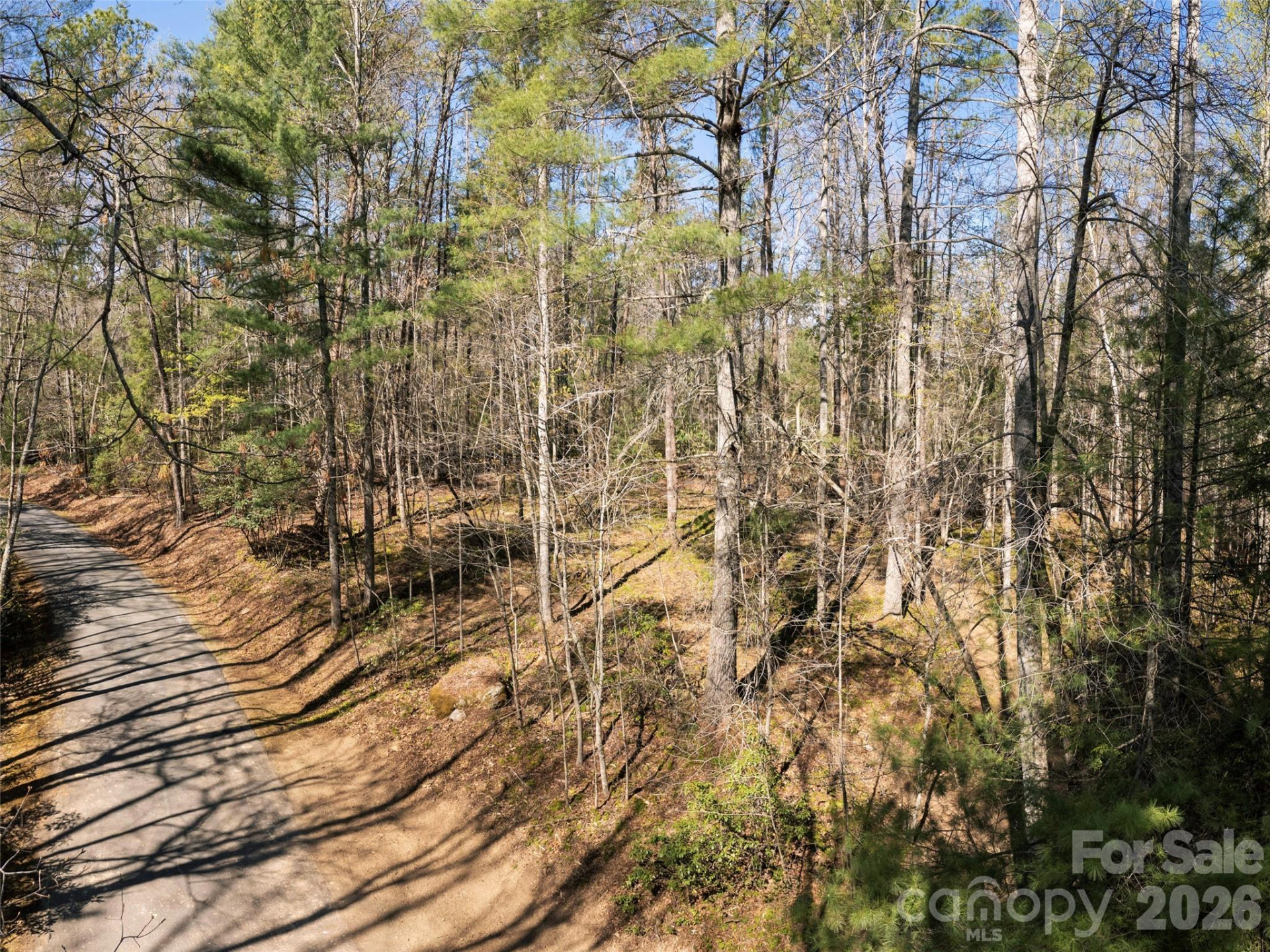 137 Nancy Ashworth Lane #13 - Photo 12