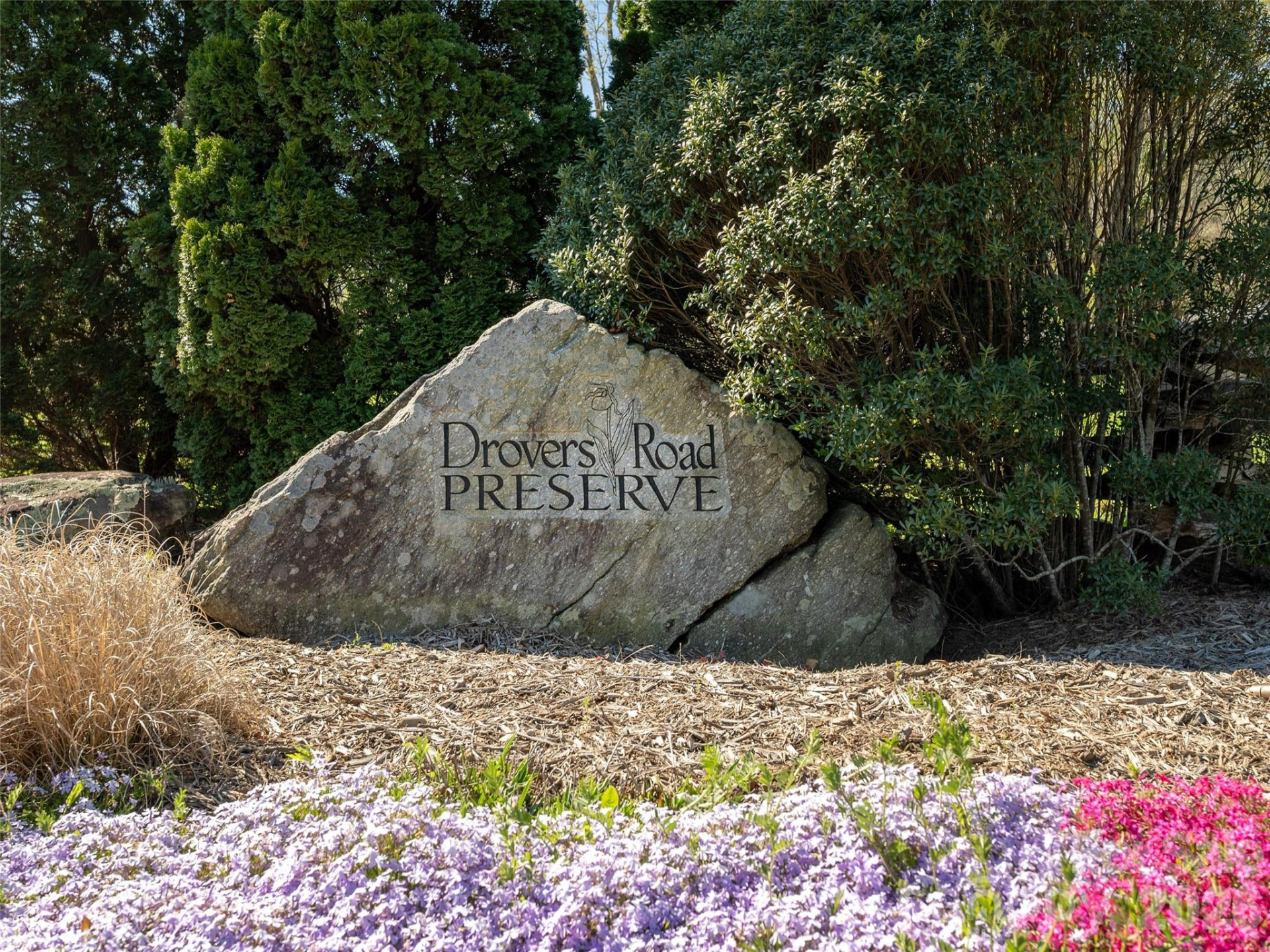 137 Nancy Ashworth Lane #13 - Photo 16