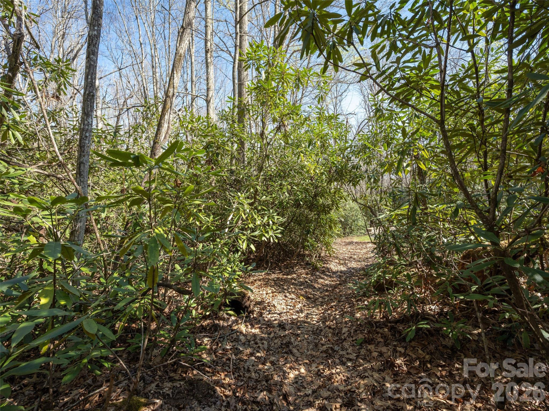 137 Nancy Ashworth Lane #13 - Photo 19