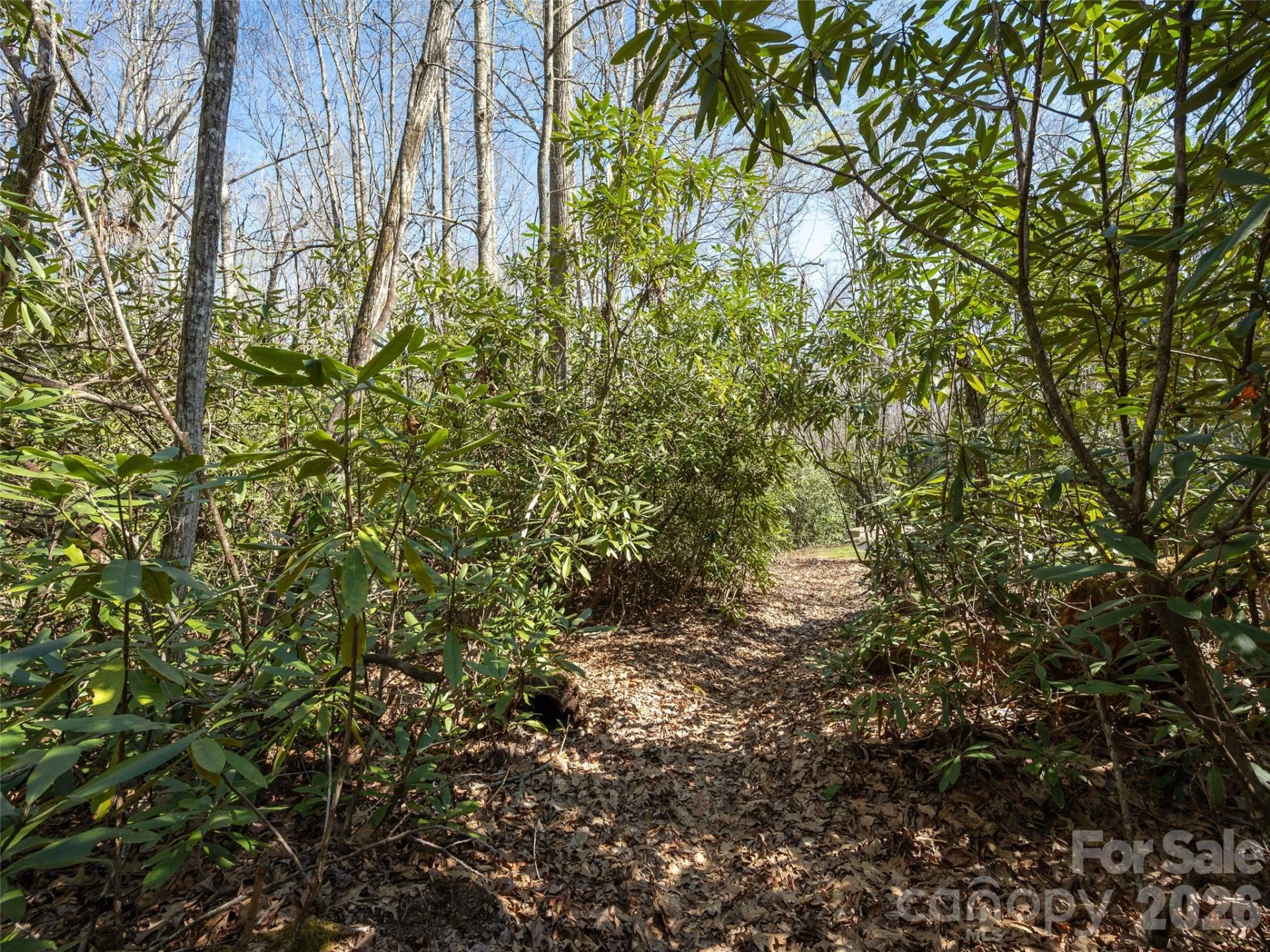 137 Nancy Ashworth Lane #13 - Photo 19
