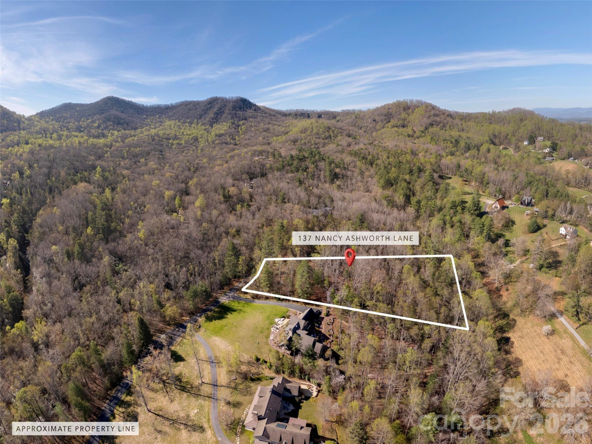 137 Nancy Ashworth Lane #13 - Photo 4