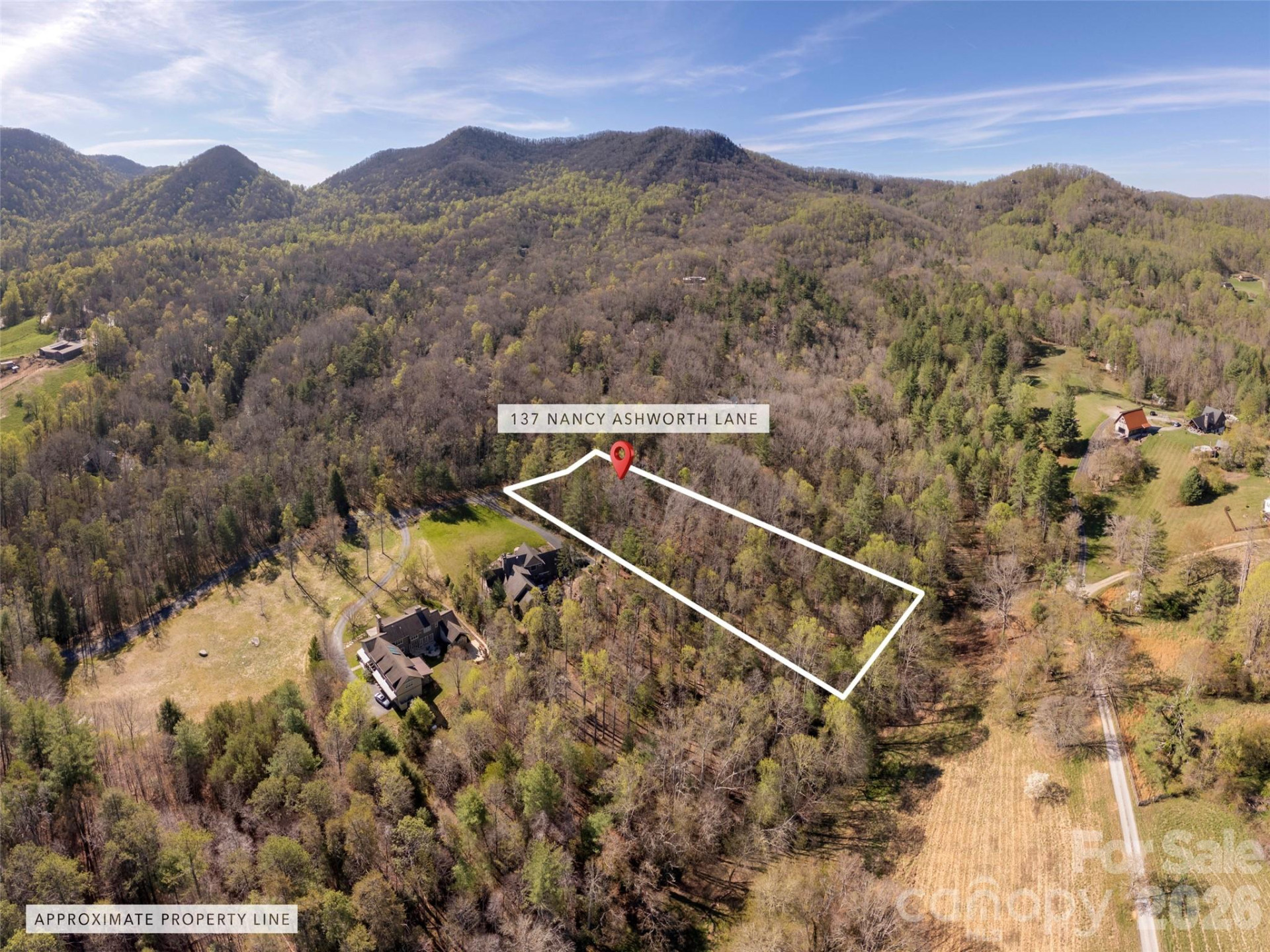 137 Nancy Ashworth Lane #13 - Photo 5