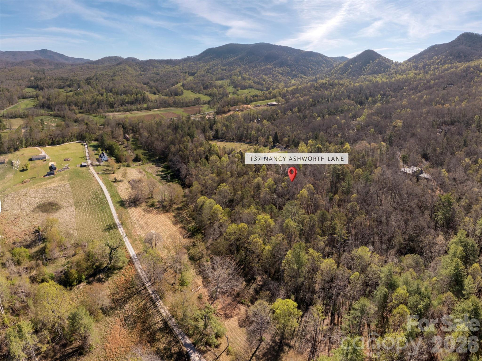 137 Nancy Ashworth Lane #13 - Photo 6