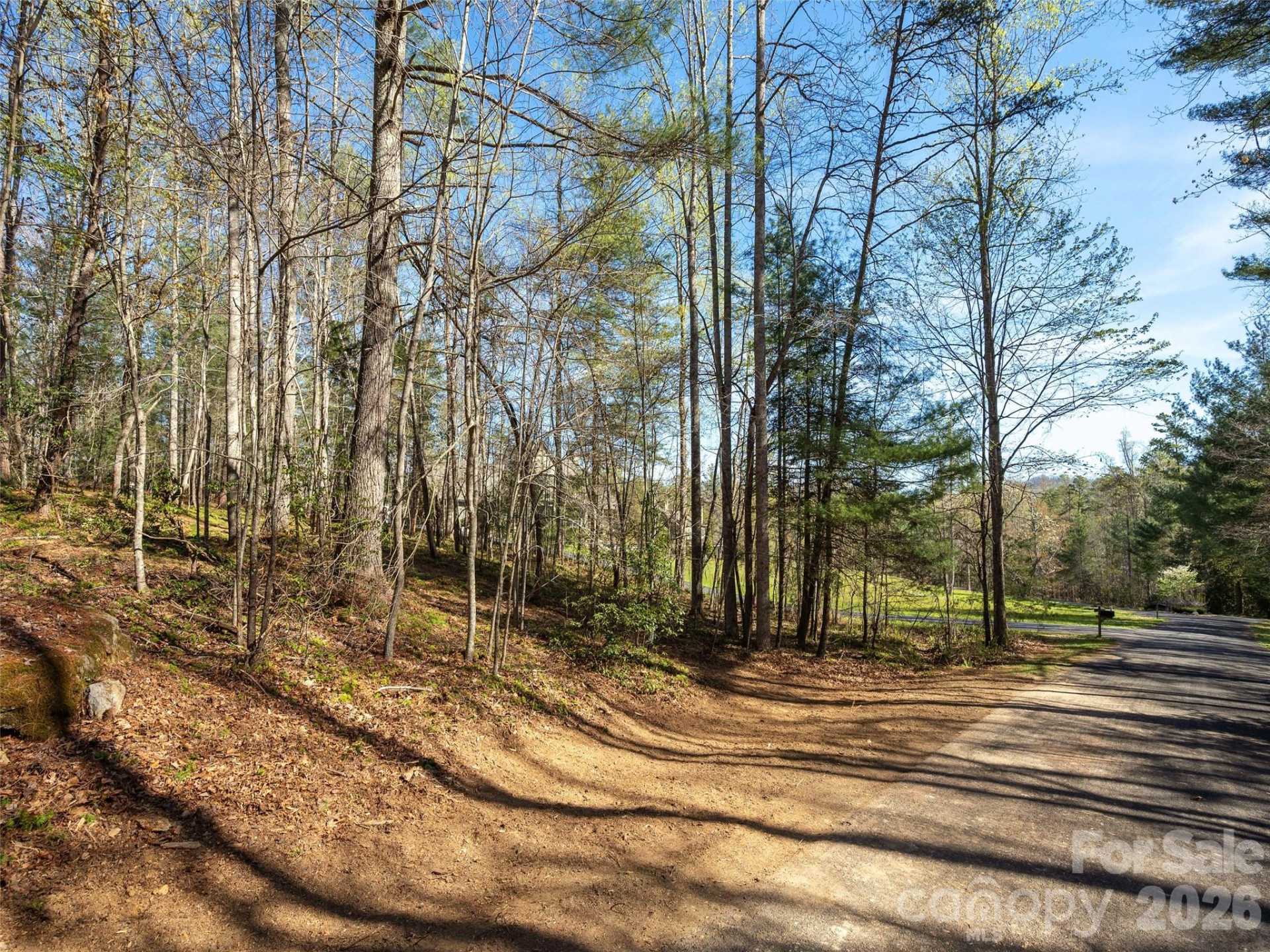 137 Nancy Ashworth Lane #13 - Photo 7