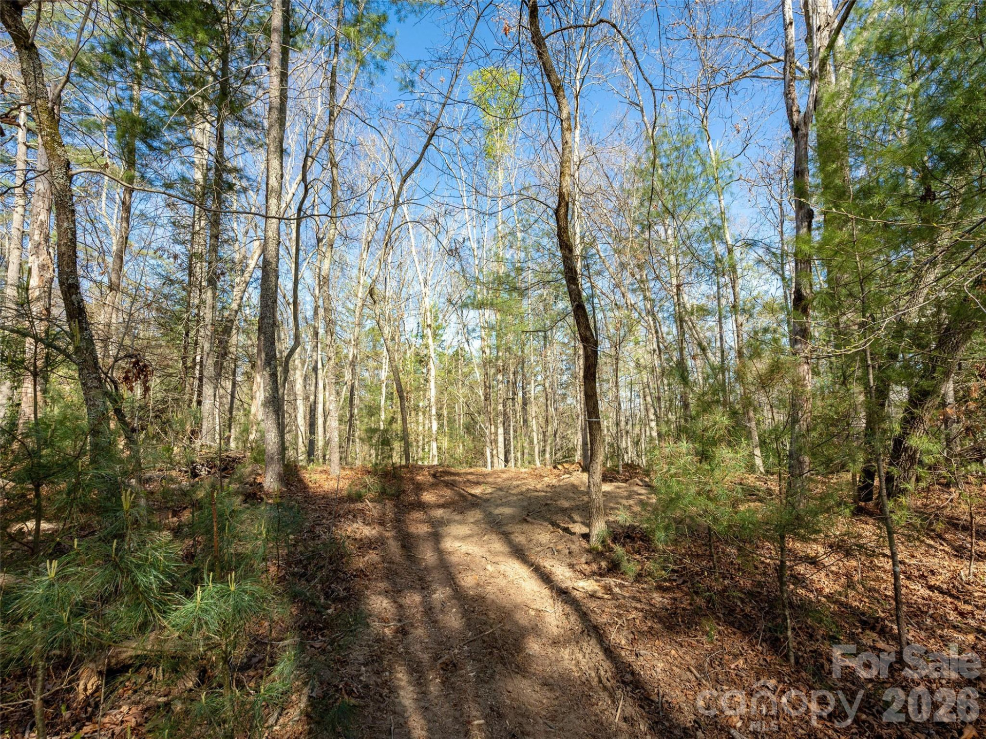 137 Nancy Ashworth Lane #13 - Photo 8