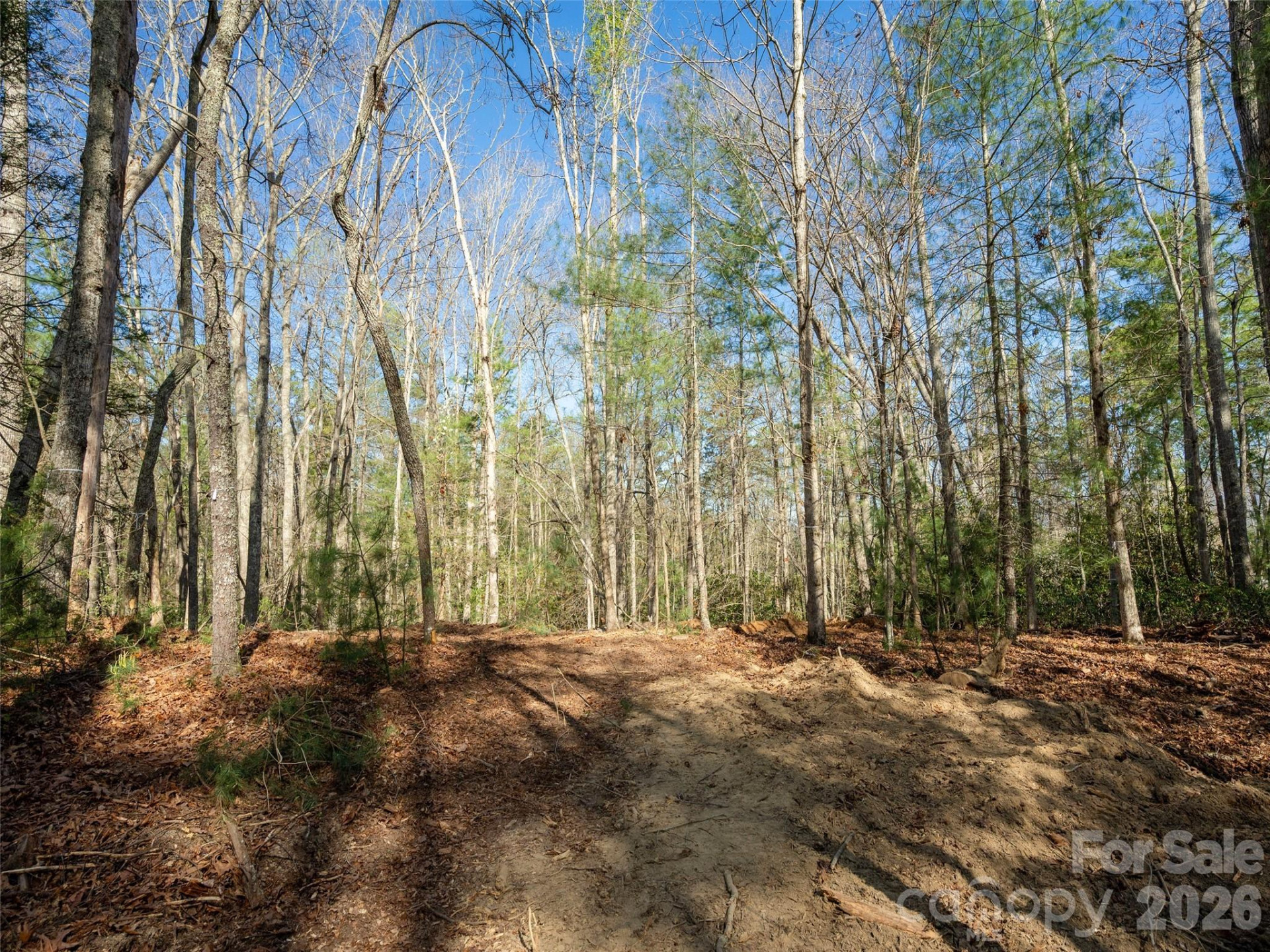 137 Nancy Ashworth Lane #13 - Photo 9