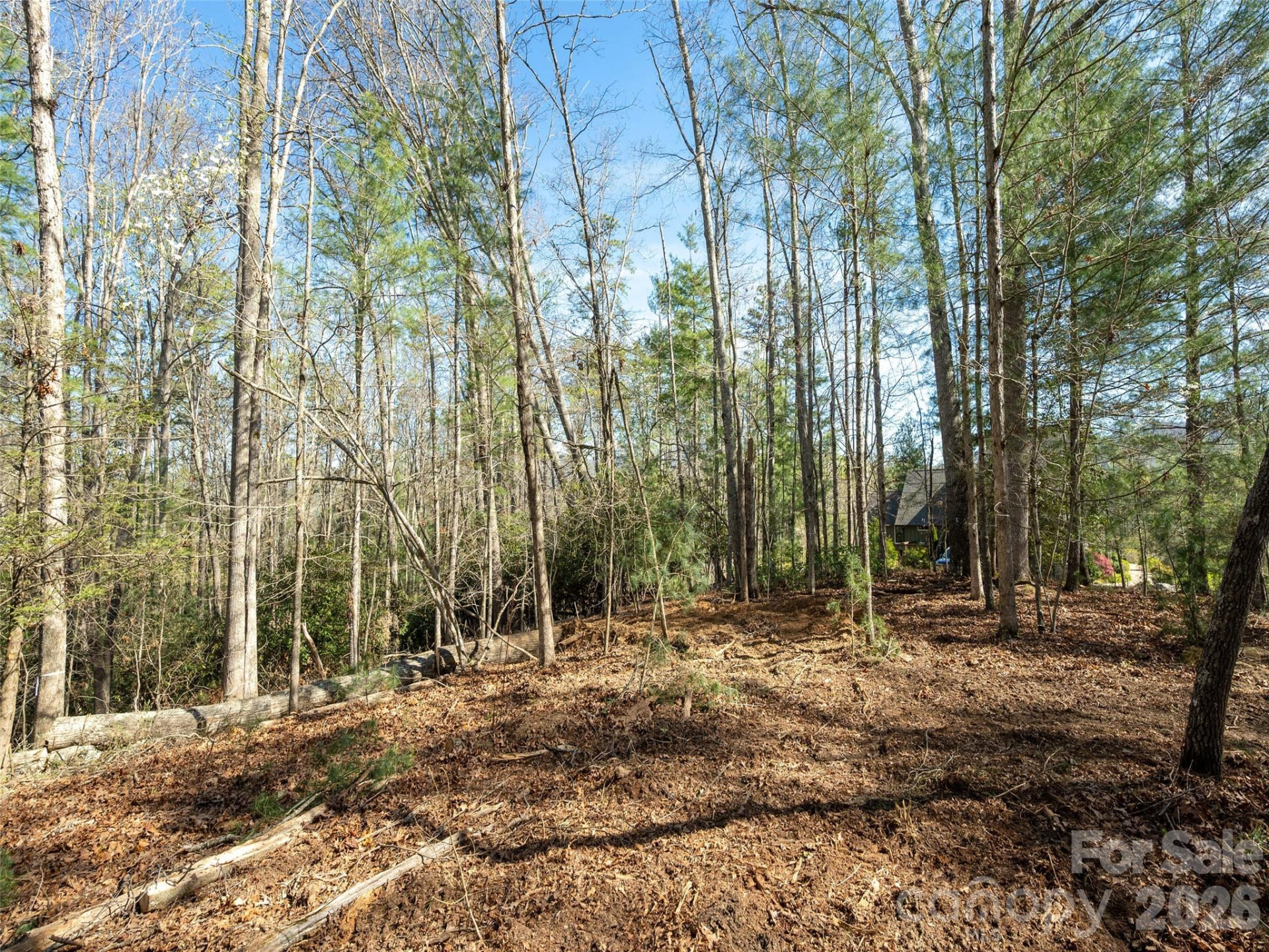 137 Nancy Ashworth Lane #13 - Photo 10