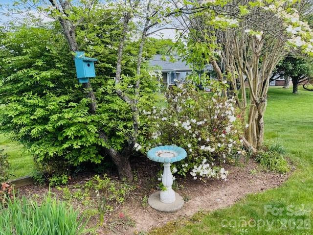 208 Dartcrest Drive - Photo 5