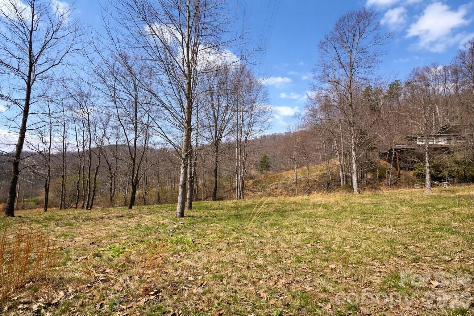 1511 Water Wheel Cove - Photo 3