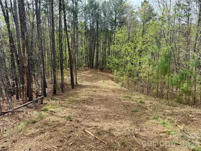 Lot 488 Bella Vista Way, Nebo, NC, 28761