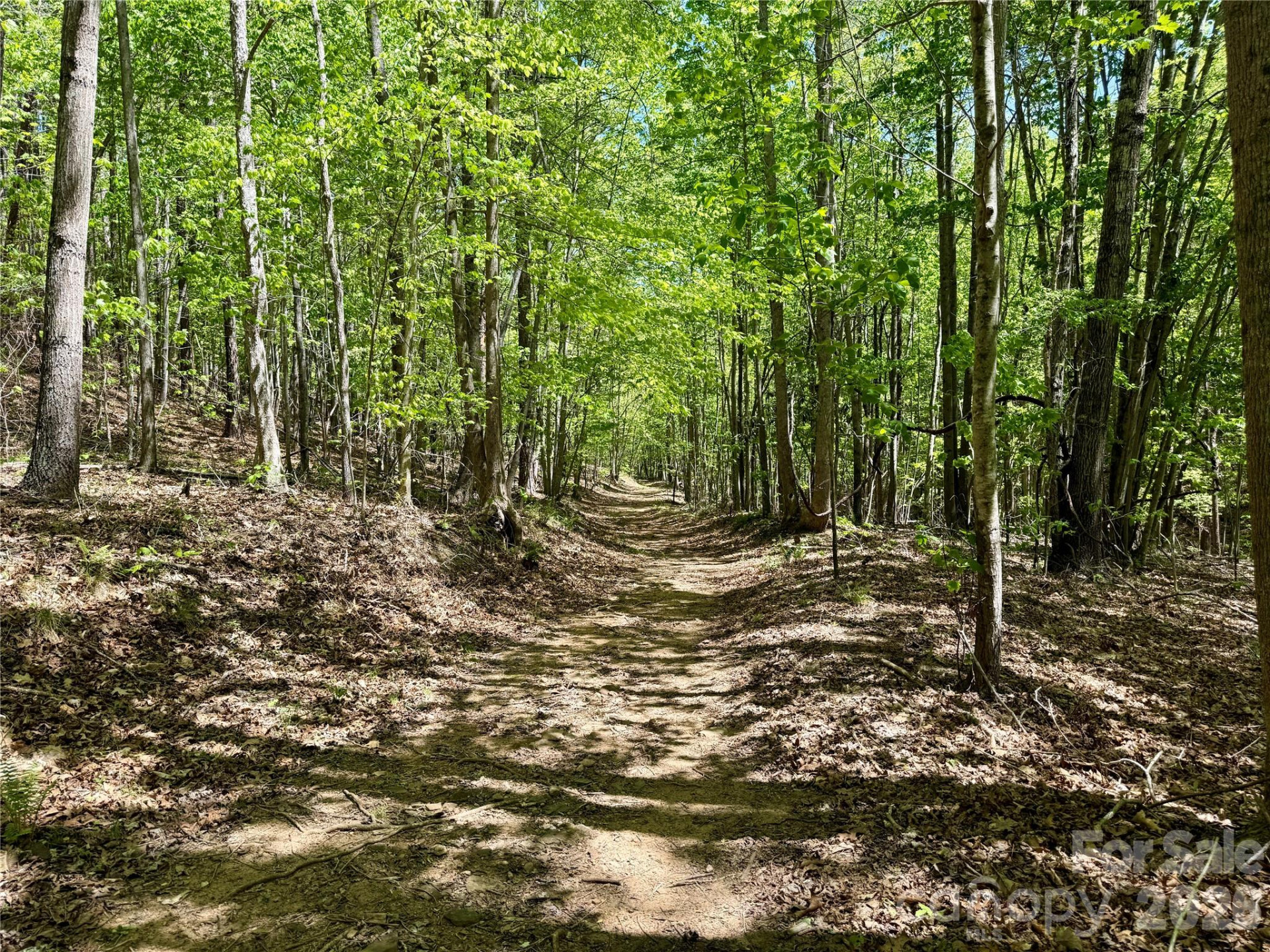 Lot 488 Bella Vista Way #488 - Photo 13