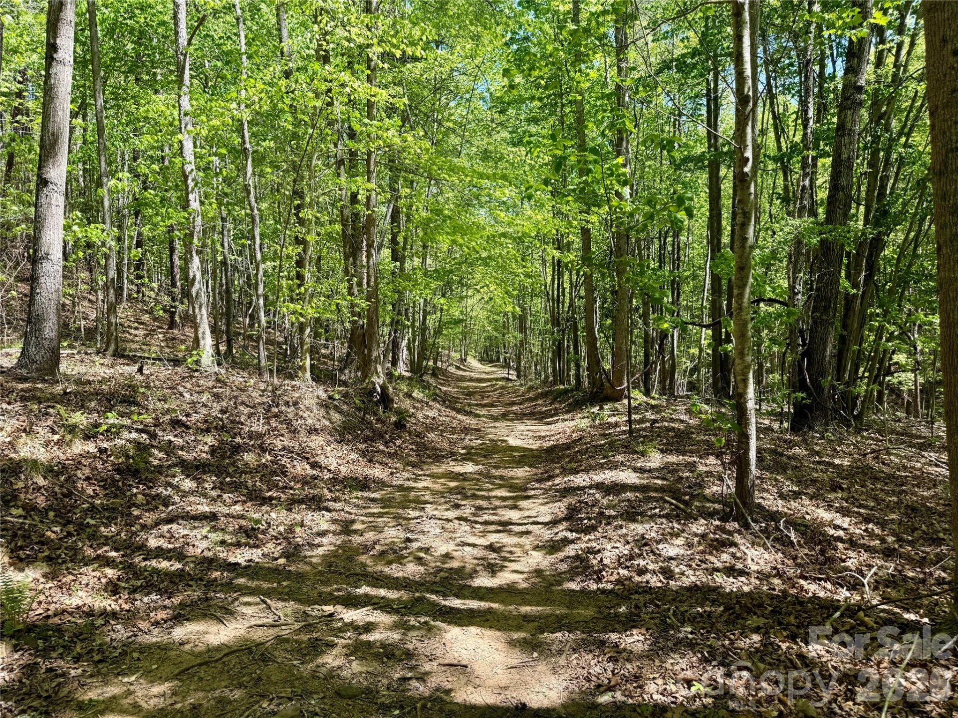 Lot 488 Bella Vista Way #488 - Photo 13