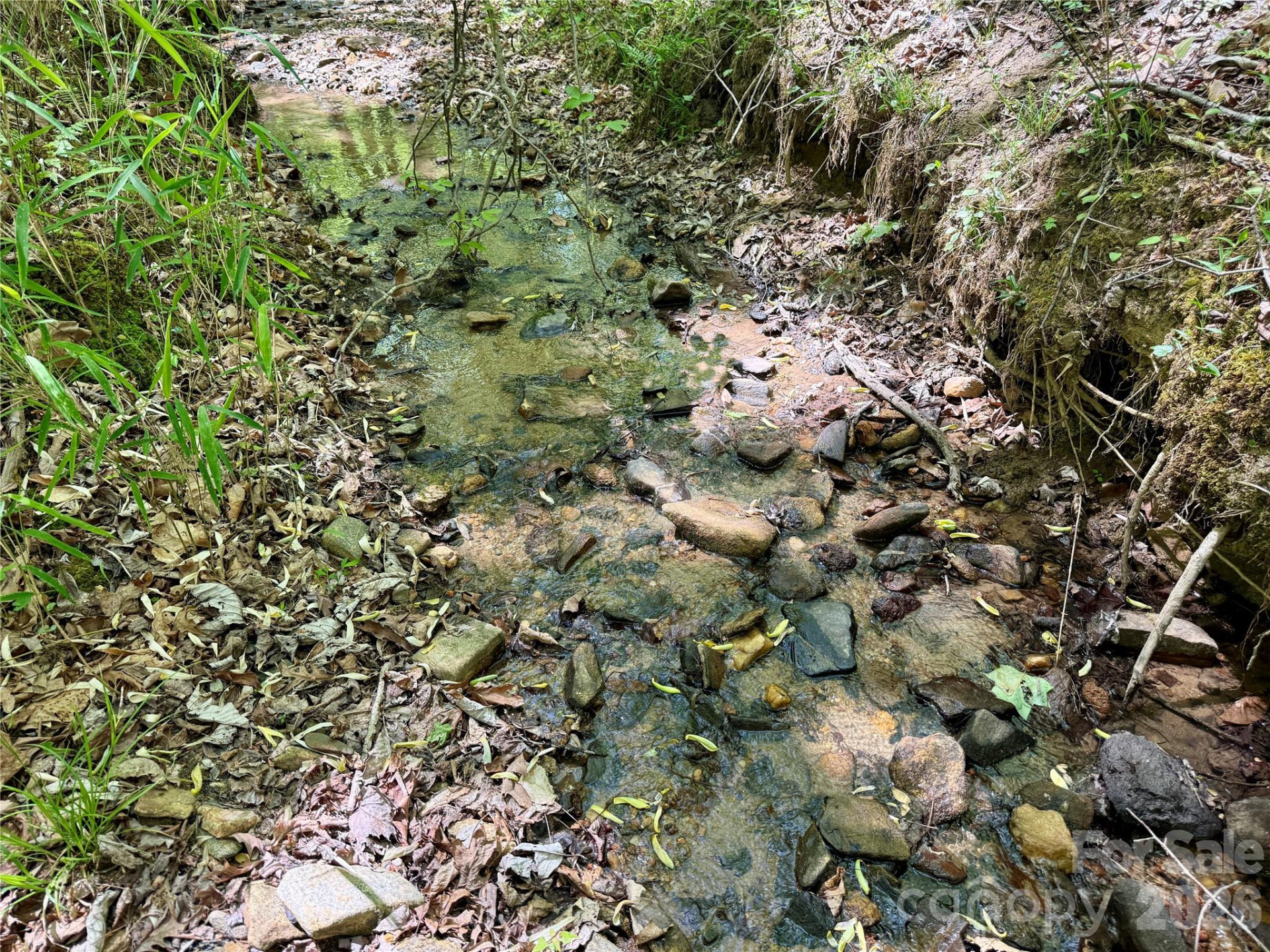 Lot 488 Bella Vista Way #488 - Photo 14