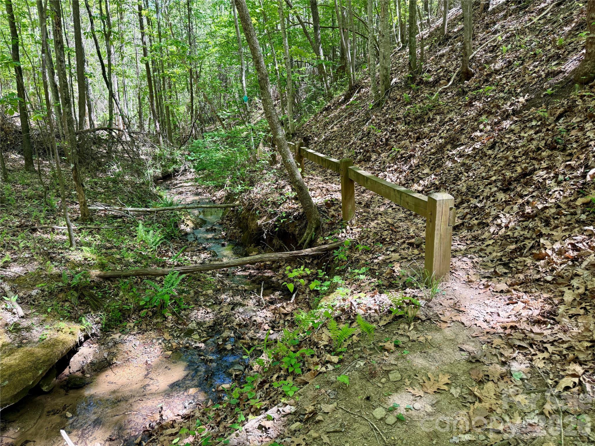 Lot 488 Bella Vista Way #488 - Photo 15