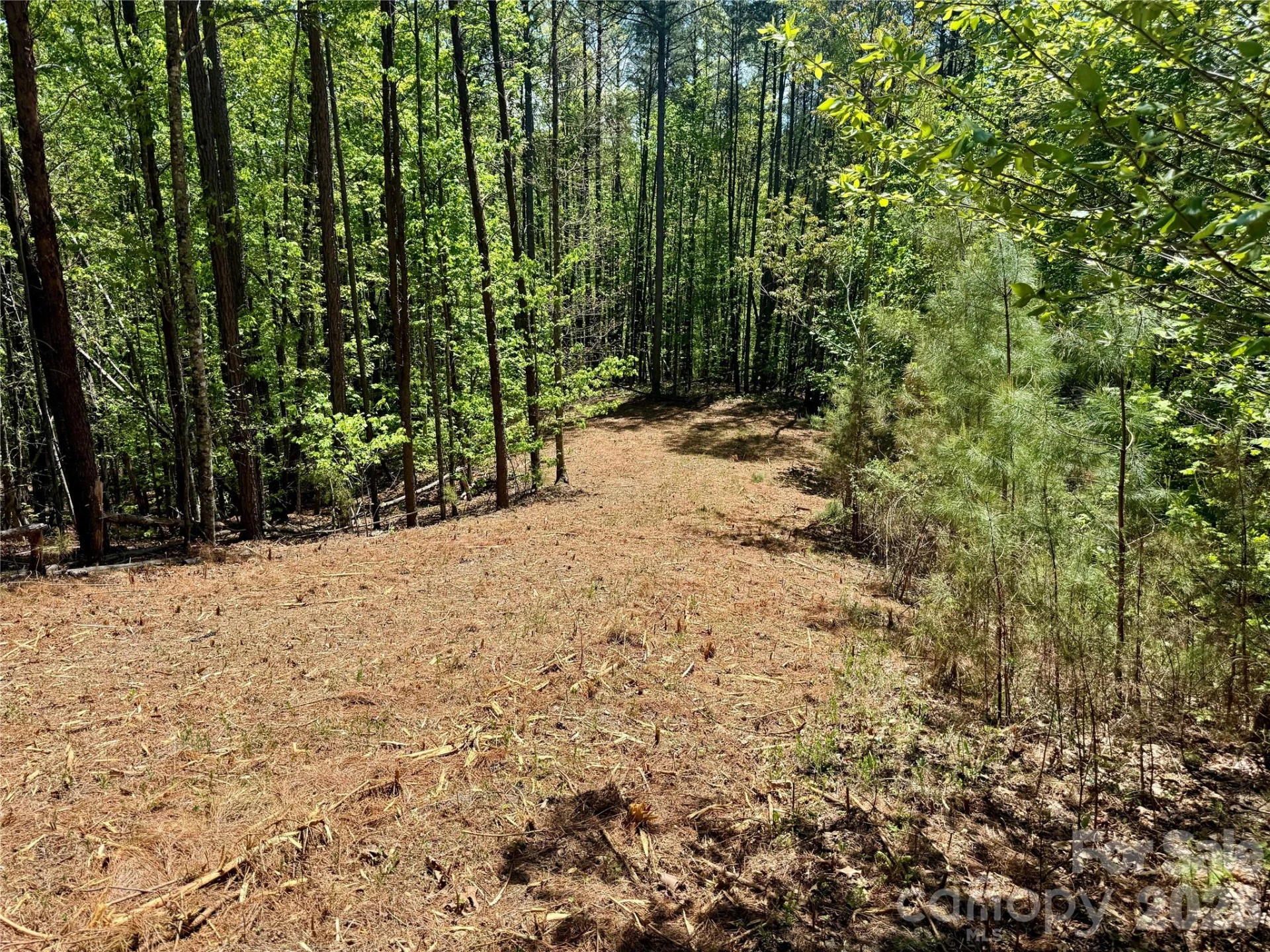 Lot 488 Bella Vista Way #488 - Photo 17