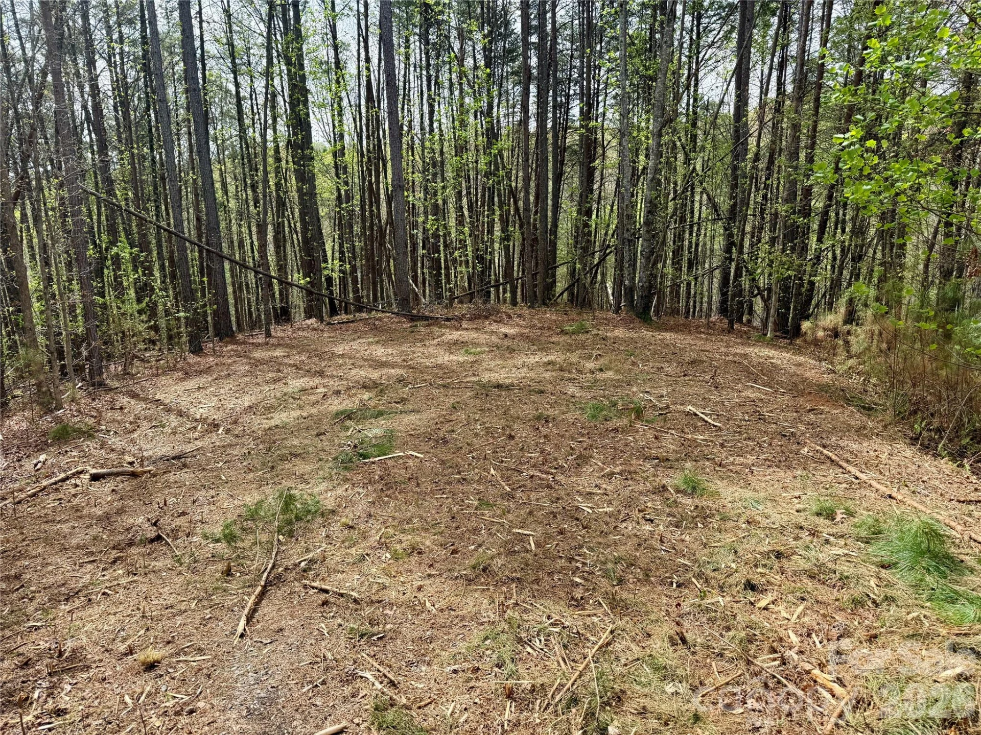 Lot 488 Bella Vista Way #488 - Photo 4
