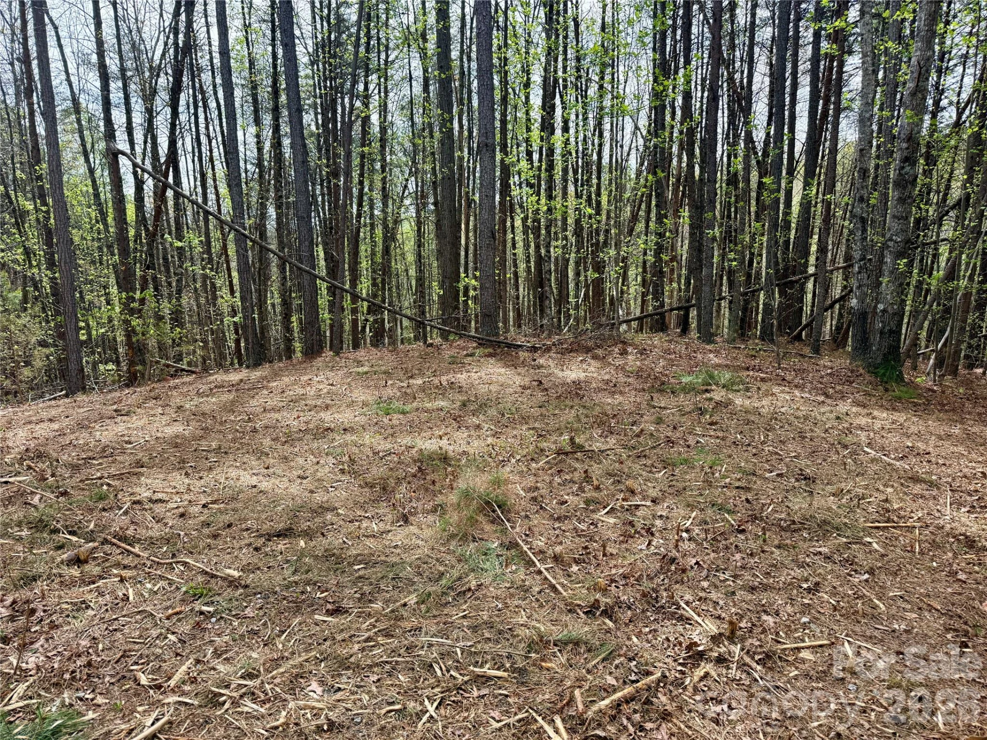Lot 488 Bella Vista Way #488 - Photo 5