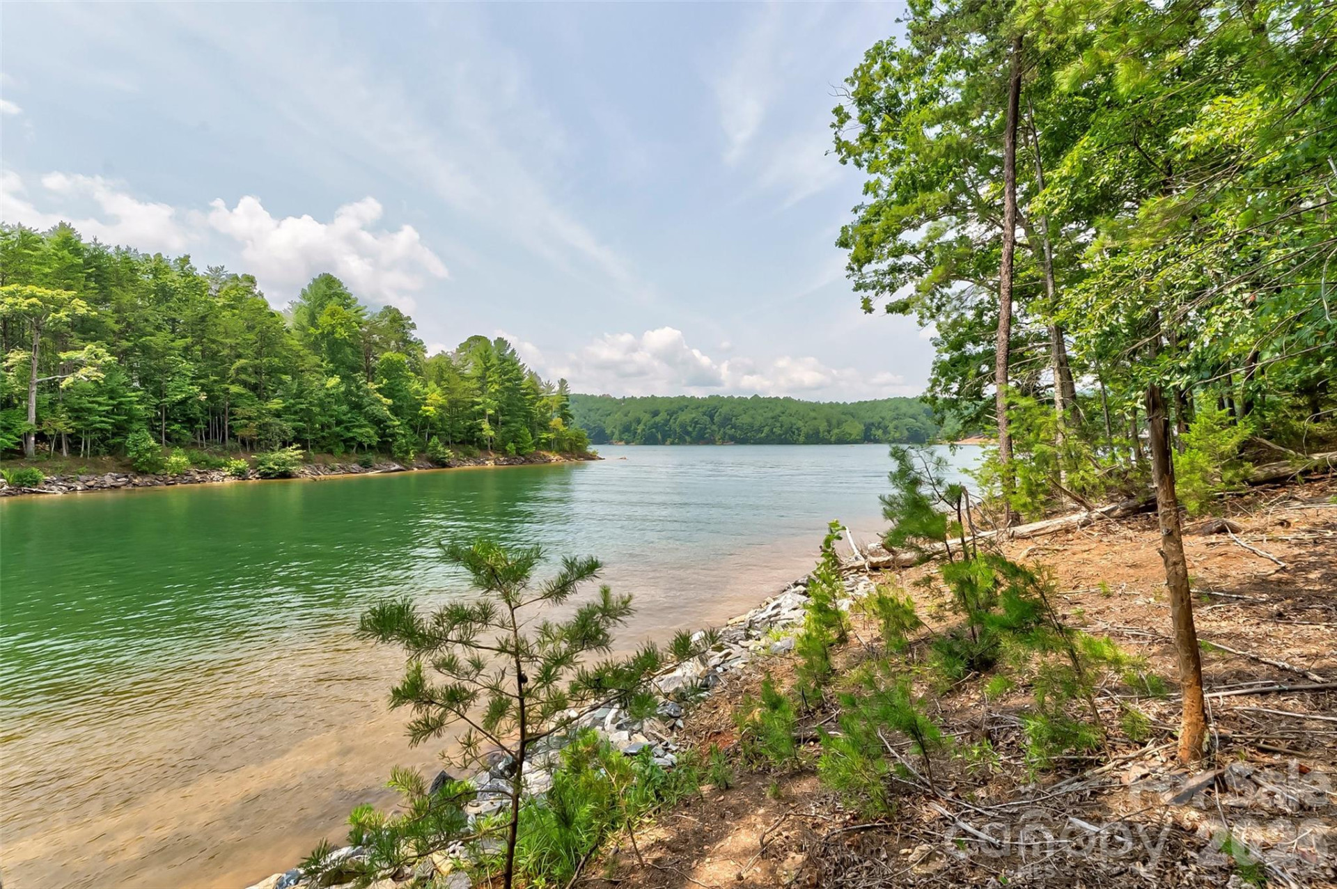 159 Deer Berry Drive #62 - Photo 12