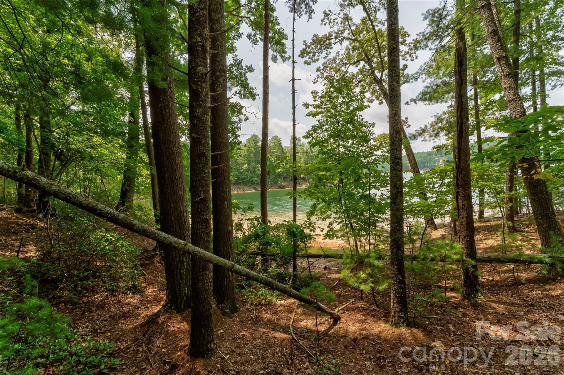 159 Deer Berry Drive #62 - Photo 19