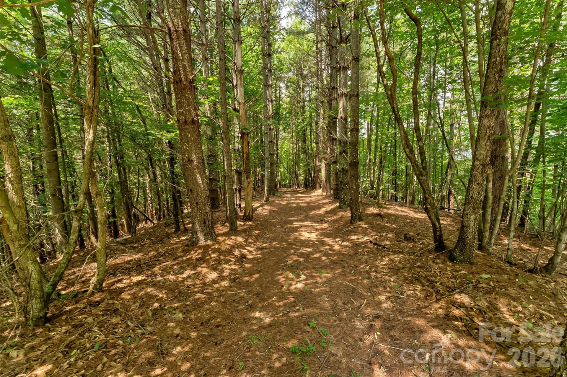 159 Deer Berry Drive #62 - Photo 21