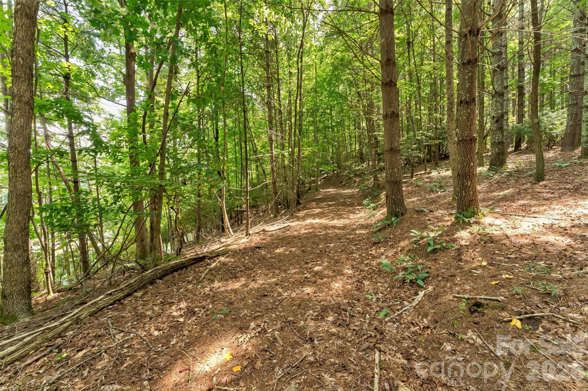 159 Deer Berry Drive #62 - Photo 22