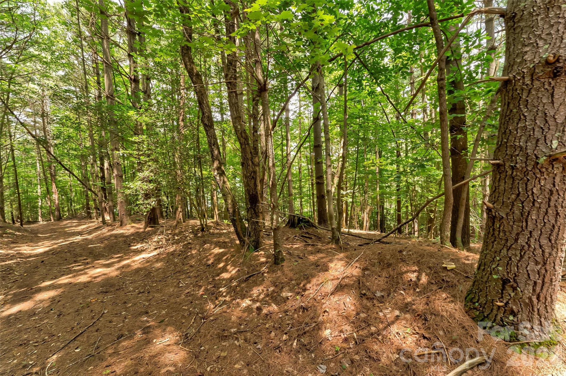 159 Deer Berry Drive #62 - Photo 23