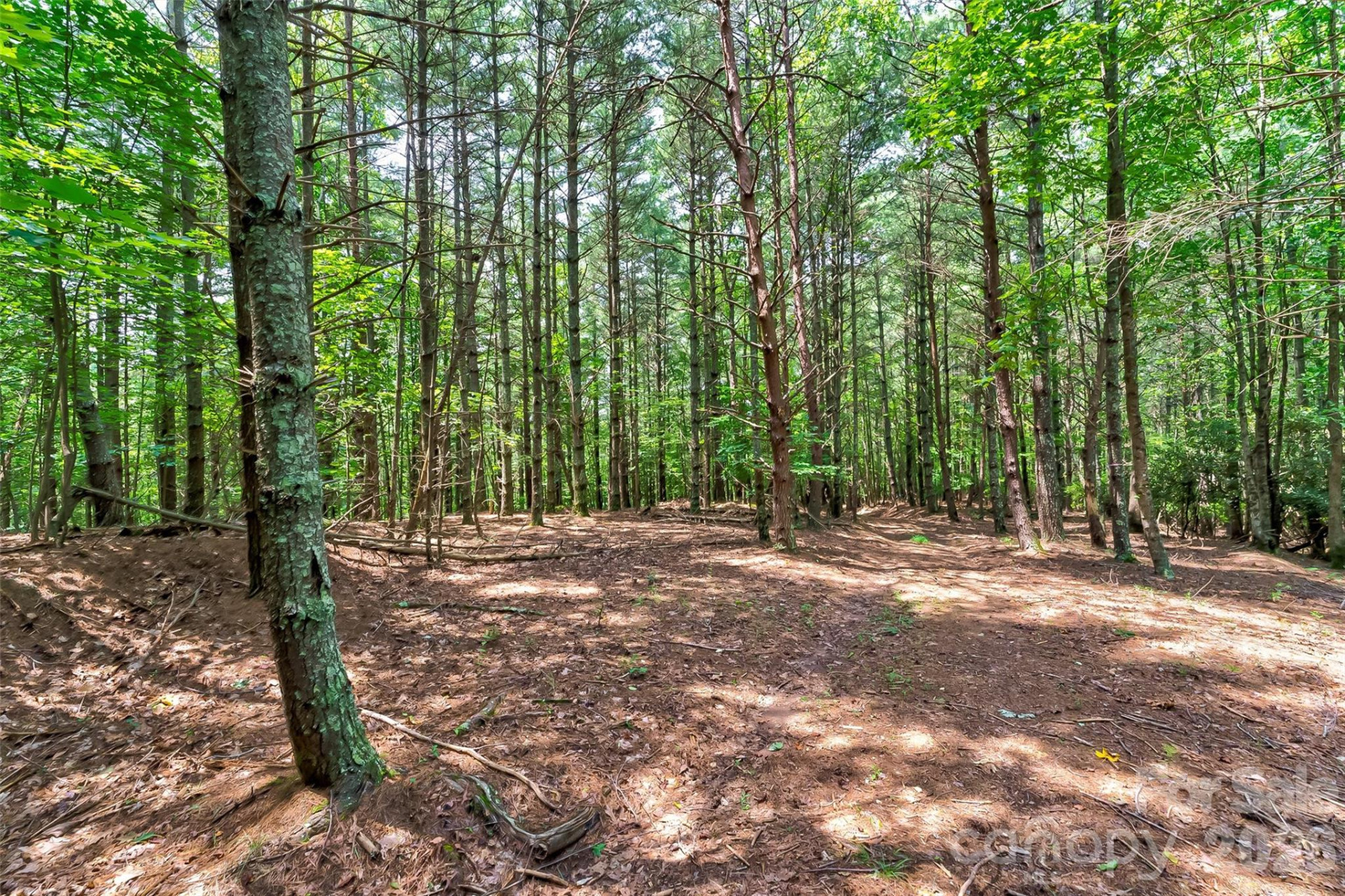 159 Deer Berry Drive #62 - Photo 24